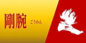 剛腕 プラン画像