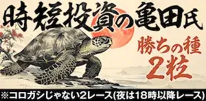 勝方艇の有料予想プラン_勝ちの種2粒