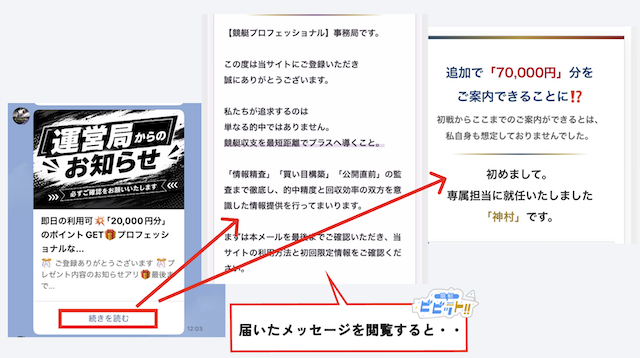 競艇プロフェッショナルのLINEの内容