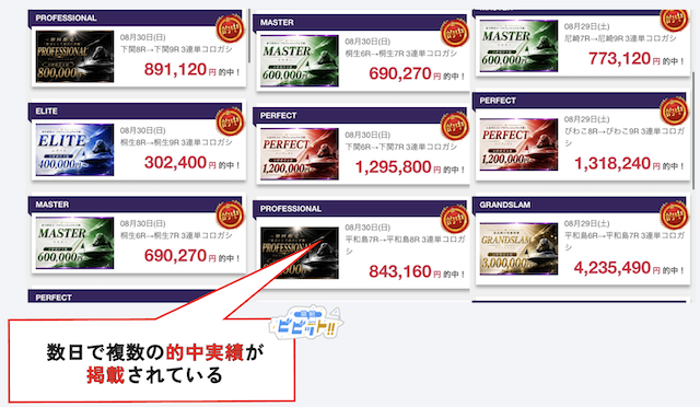 競艇プロフェッショナルの的中実績