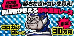 競艇ブルドッグの有料予想