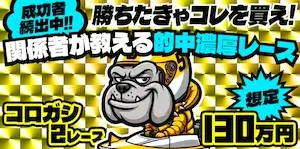 競艇ブルドッグの有料予想