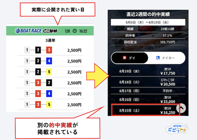 的中実績を偽るサイト画像