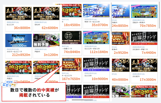 ボートレースパレードの的中実績
