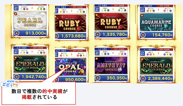 競艇ビッグウェーブの的中実績