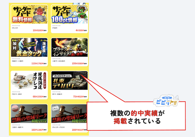 競艇サンダーバードの的中実績